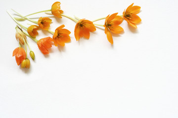 spring decoration