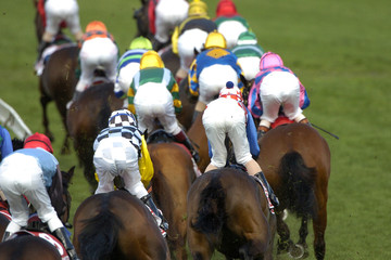 horseracing 025