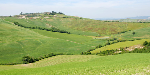 paesaggio di asciano nelle crete senesi