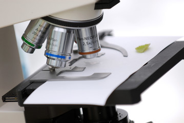 microscope
