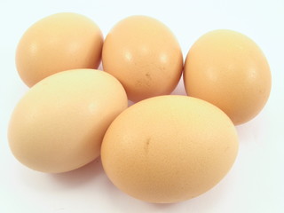 eggs