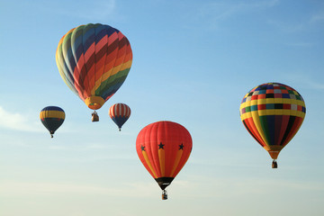Colorful balloons in sky