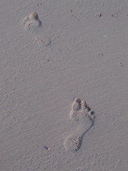 footprints in the sand