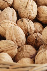 walnuts on the basket