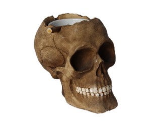 Fototapeta premium zu spät