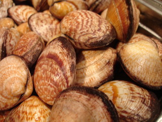 des clams