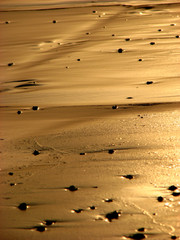 Fototapeta na wymiar golden sands