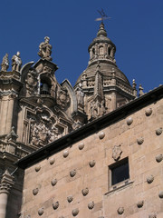 Fototapeta premium conchas