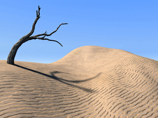 dune
