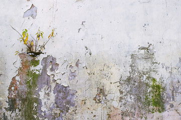 corroded wall
