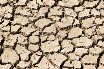drought relief