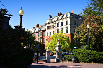 Fototapeta premium boston public garden