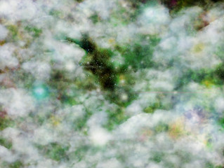 nebuleuse