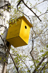 birdhouse