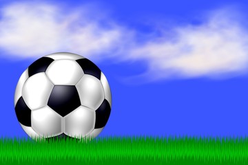 fussball auf der wiese