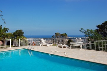 piscine avec cannes en arriere plan