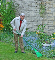 a retired gentleman raking the grass
