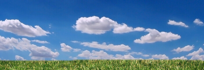 grass, sky and clouds panorama