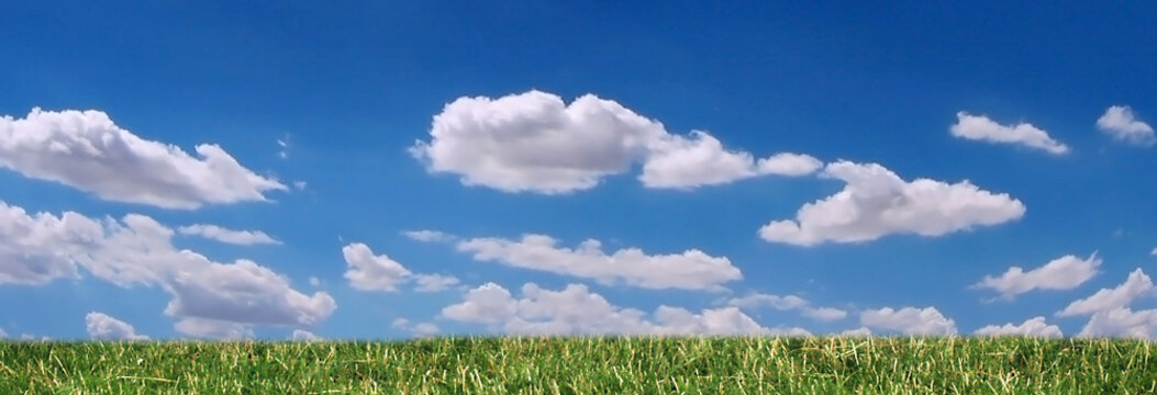 grass, sky and clouds panorama