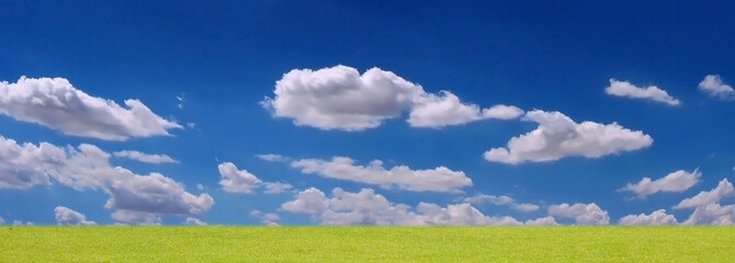 grass and clouds panorama