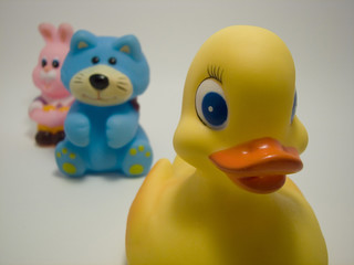 rubber duck