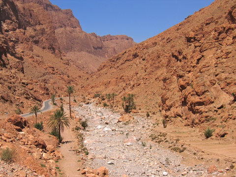 dry moroccan mountains with some rare palm tree, todra gorges, m