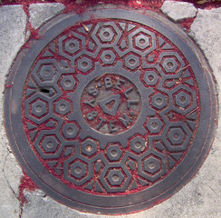 petals on a storm drain lid 3
