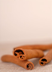 cinnamon sticks with shallow depth of field