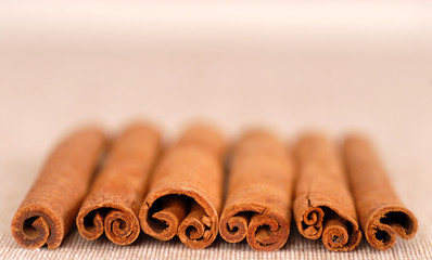 several cinnamon sticks laying in a row