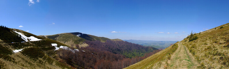 spring in the mountains