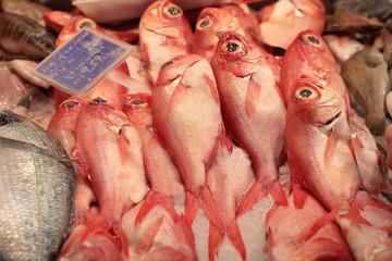 seafood