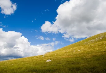 Foto op Plexiglas green hill with cloudy sky © Daniel Loncarevic