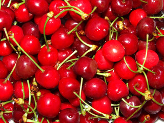 cherry