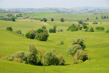 Fototapeta na wymiar krajobraz Siena i okolice