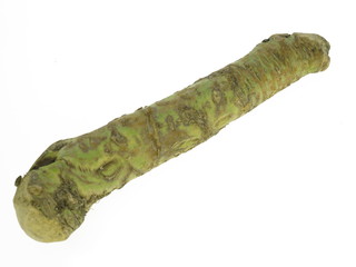 wasabi meerettich wurzel
