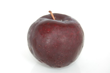 deep colour plum - single