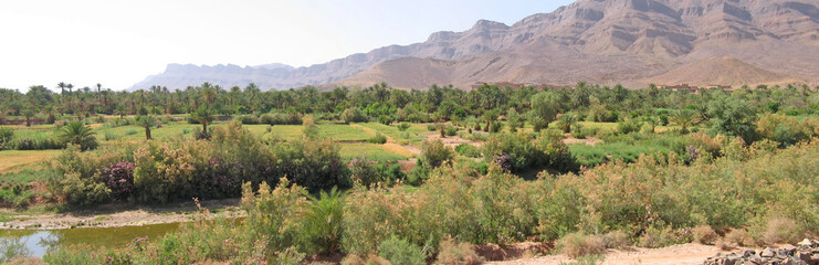 Fototapeta na wymiar oaza pustynia z pola kultury i góry z tyłu, Zagora, d