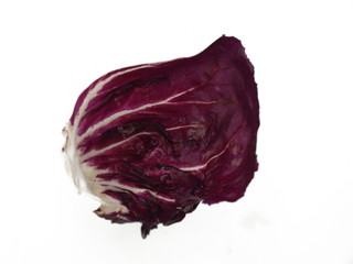 radicchio salat blatt