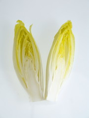 chiccoree halbiert