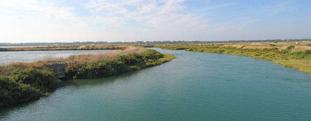 river in provencal vegetation, re island, france, panorama