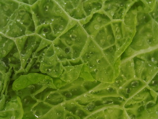 wirsing nah aufnahme