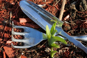 outils de jardinage