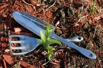 outils jardin 2