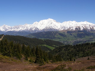 Fototapeta premium randonnée au printemps