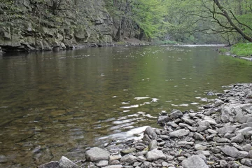 Fototapete river in mountain © pusti
