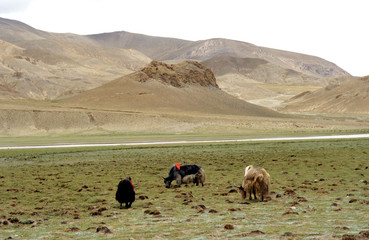 les montagnes du tibet