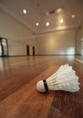 shuttlecock
