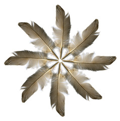 feather ring