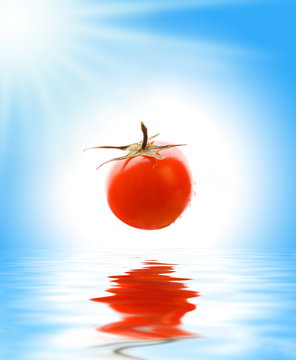 tomato above rendered water