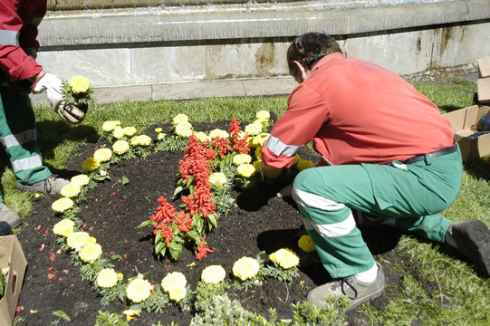 jardineria-08